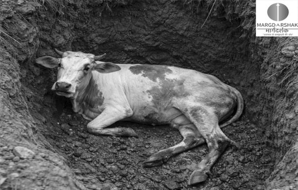 दुर्घटना में संवेदना बनाम अवसरवाद: समाज का कड़वा सच