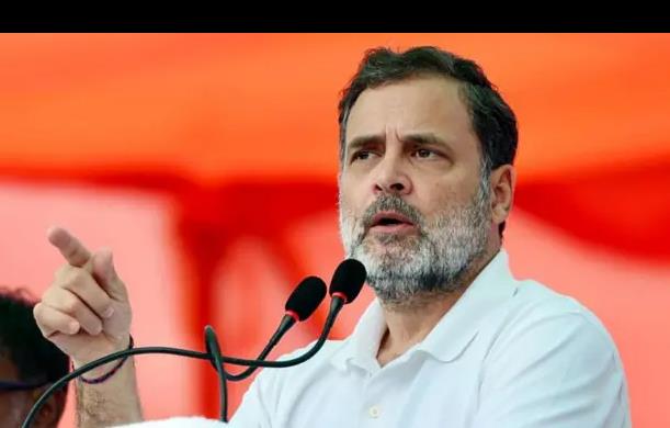 राहुल गांधी के भाषण पर उठते सवाल